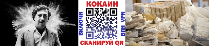 Cocaine FishScale  Купить  Великий Устюг 