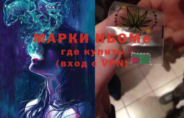 стафф Россошь