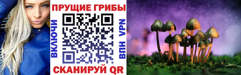 Купить  Великий Устюг  Псилоцибиновые грибы прущие грибы 